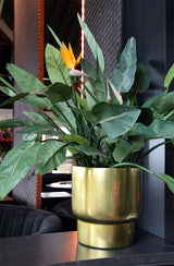Roskilde S gold Ø37xH40cm