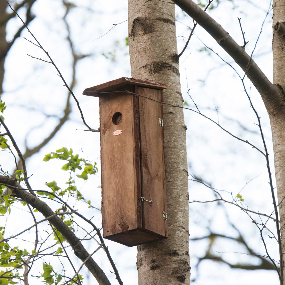 Nestkast grote bonte specht