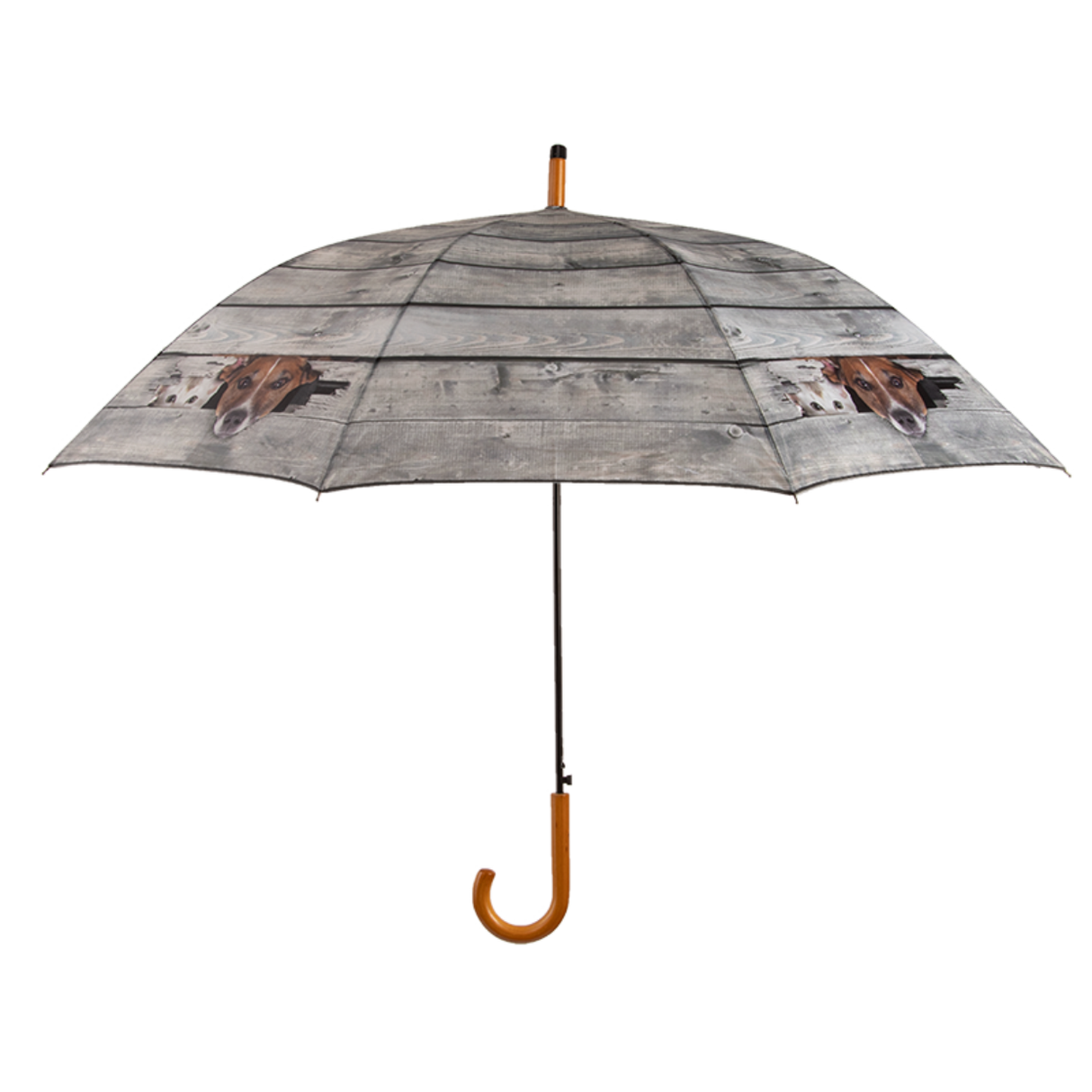 Hond en kat kiekeboe paraplu