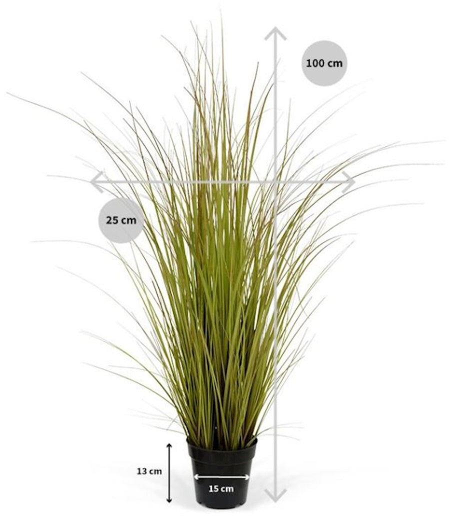 Grasplant 100 cm in pot bruin-groen